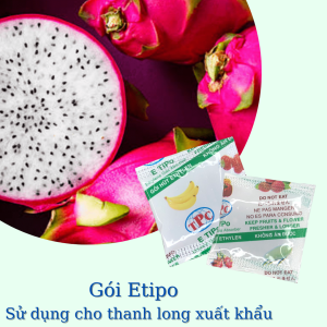 Gói Hút Khí Ethylene - Thanh Long Xuất Khẩu