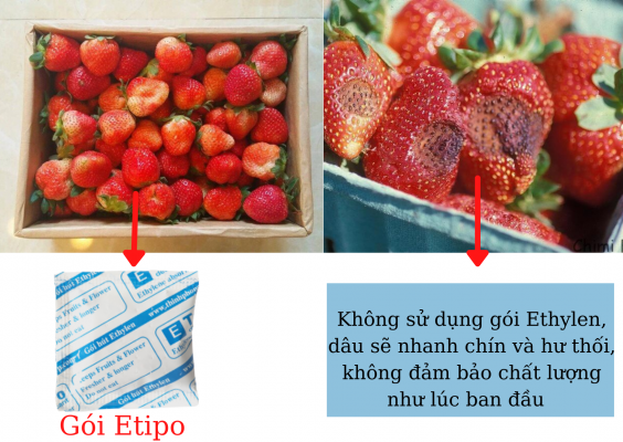 Gói hút ẩm dâu tây