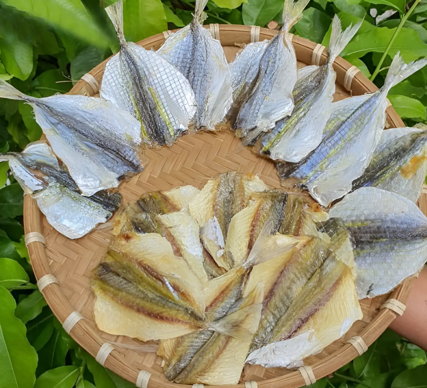 Đặc điểm của cá chỉ vàng: