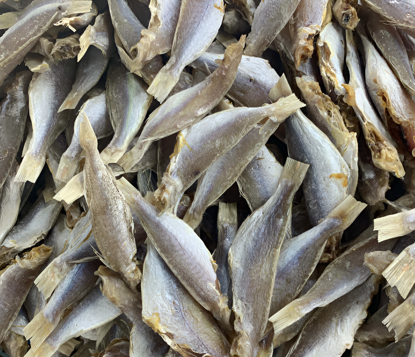 Cách bảo quản cá khô gửi đi xa