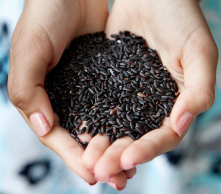 Cách bảo quản cơm gạo lứt bằng hộp, màng bọc thực phẩm