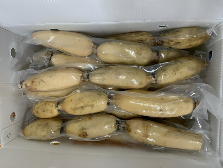 Cách bảo quản củ sen tươi ở nhiệt độ thường khi không có tủ lạnh