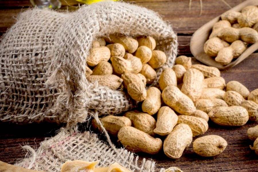 Cách bảo quản đậu phộng tươi