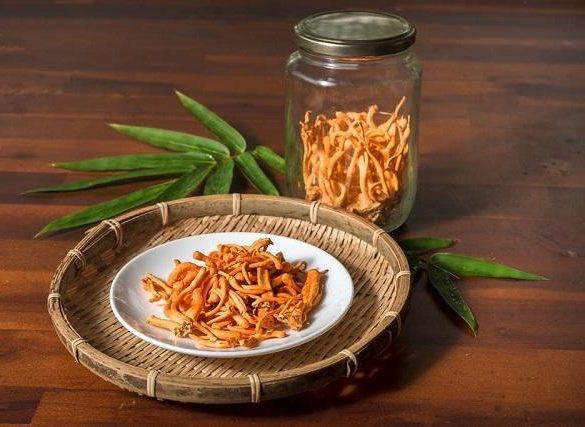 Những lưu ý quan trọng khi bảo quản đông trùng hạ thảo