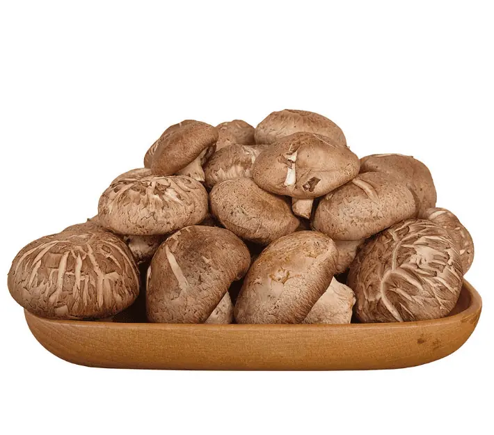 Cách chọn mua nấm hương khô ngon bảo quản được lâu