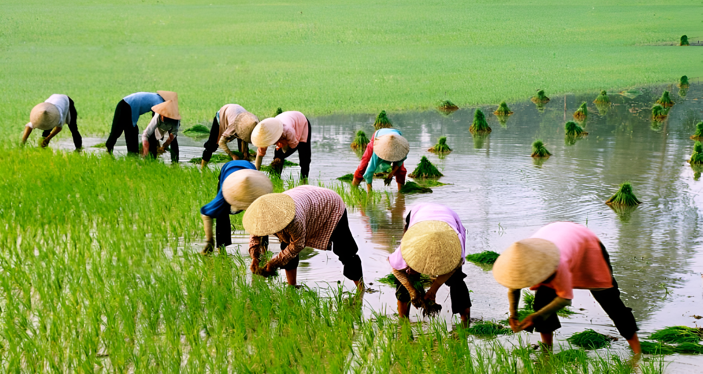 Hạn chế dùng trong trời mưa