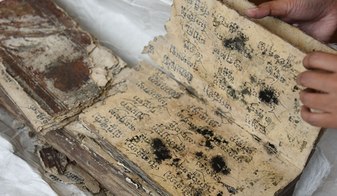 Kinh nghiệm khi sách bị ẩm mốc, mối mọt