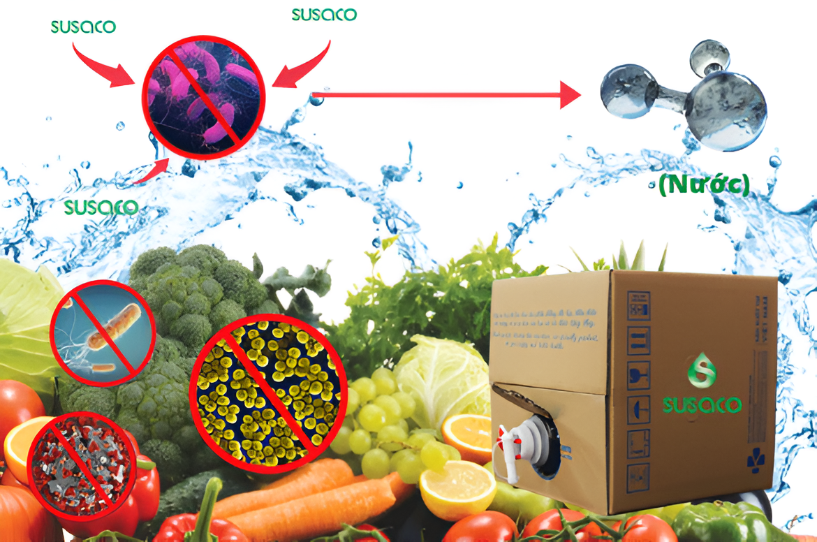 Dùng nước rửa rau quả, thực phẩm SUSACO