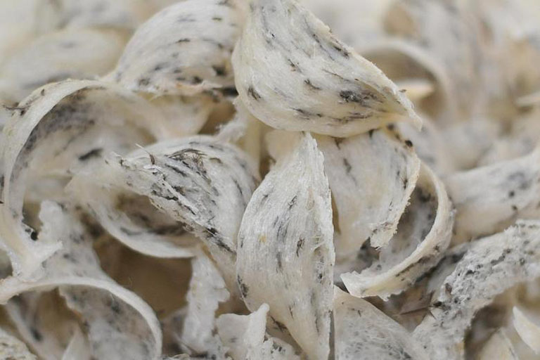 Cách bảo quản tổ yến thô (còn lông)