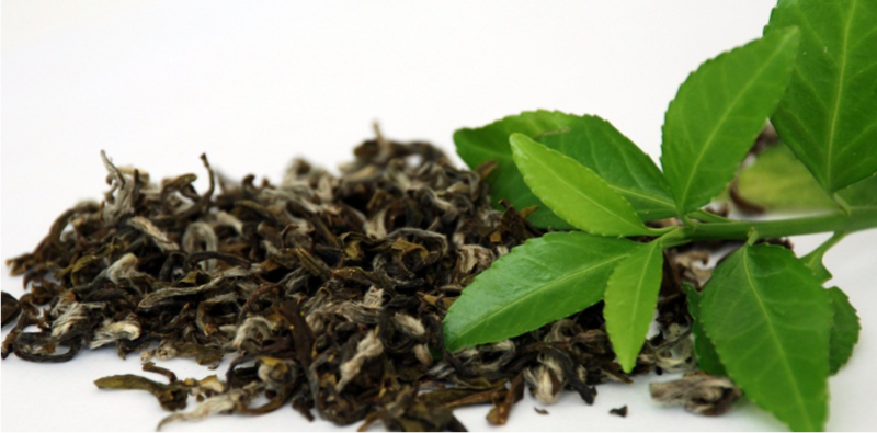 Trà khô bảo quản được bao lâu?