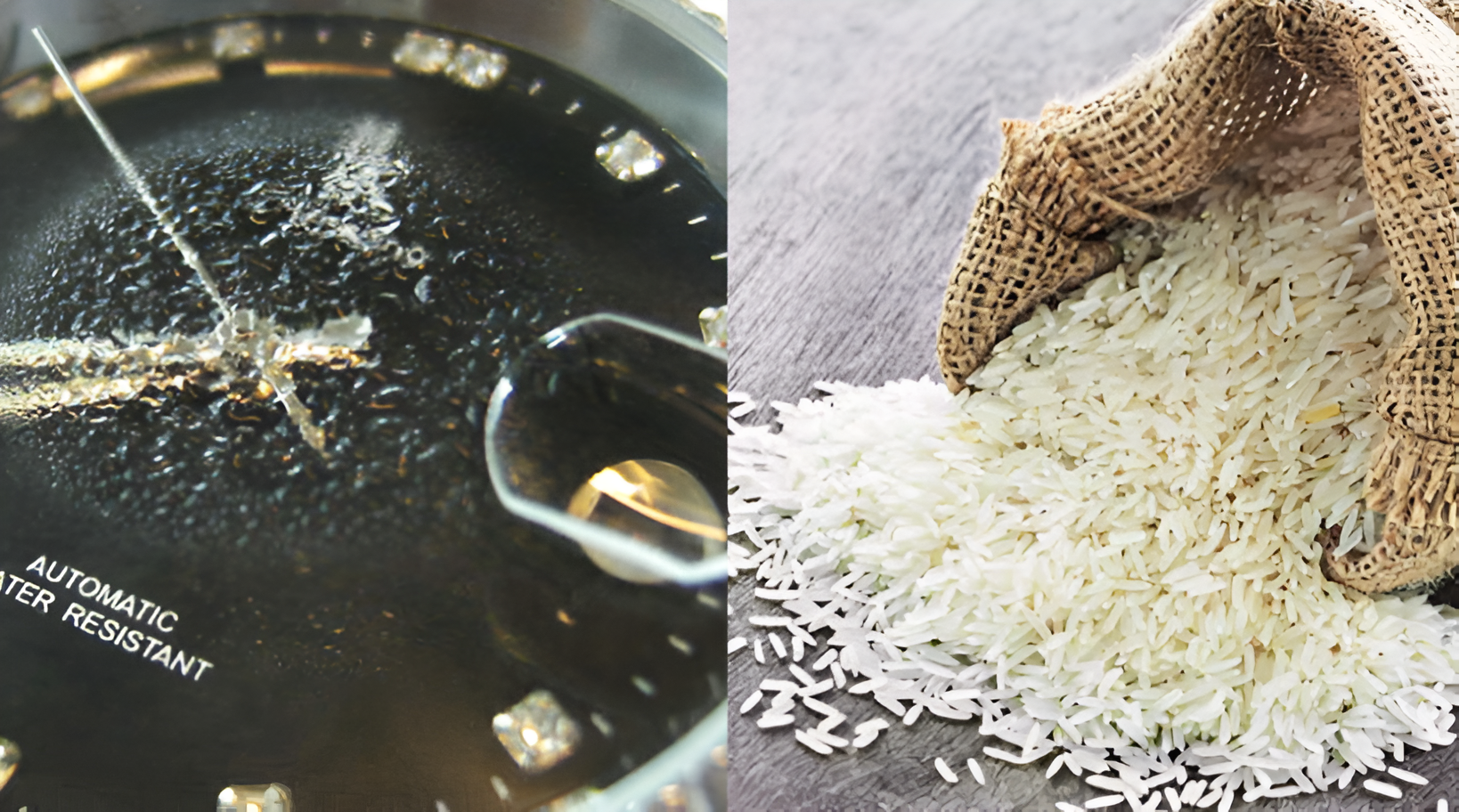 Bỏ vào thùng gạo