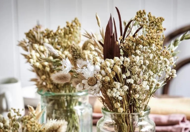 Cách bảo quản hoa khô tốt nhất