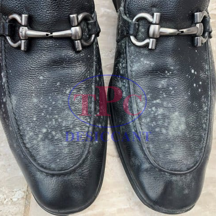 Tại sao nên dùng gói hút ẩm giày