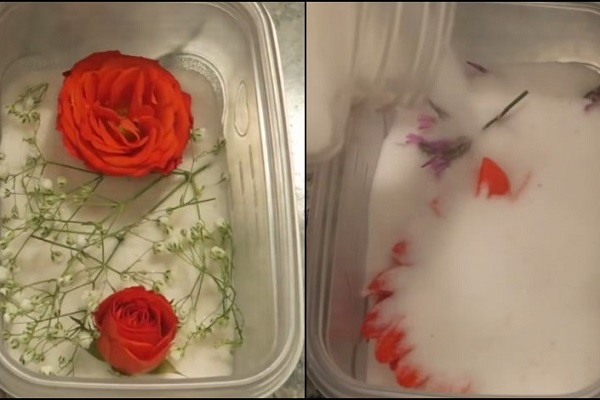 gói hạt hút ẩm làm hoa khô