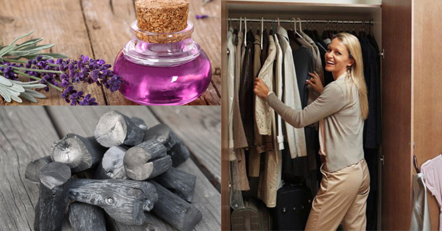 Các cách khử mùi, chống ẩm cho tủ quần áo