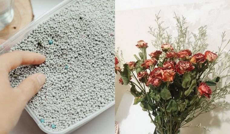 Chuẩn bị các nguyên liệu làm hoa khô