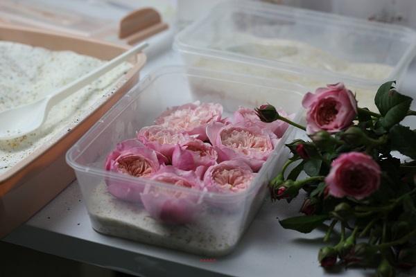 Các bước làm hoa khô