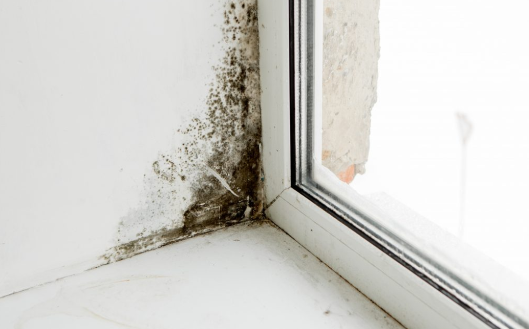 Dấu hiệu nhận biết tường bị ẩm mốc